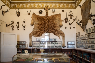 Safari Collection, Biblioteca Nazionale di Napoli
